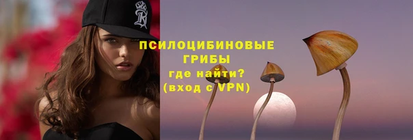 дживик Баксан