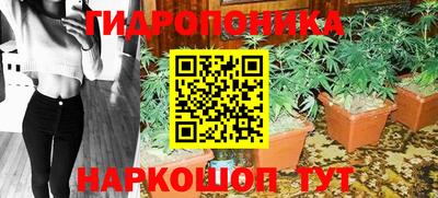 a pvp Можга