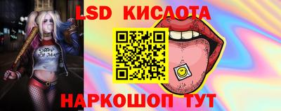 a pvp Можга