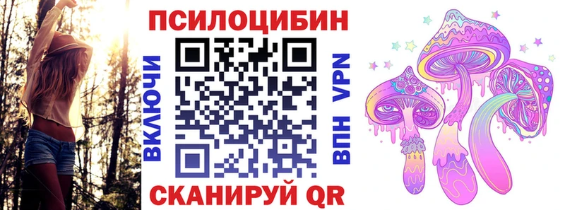 Галлюциногенные грибы Psilocybine cubensis Армавир