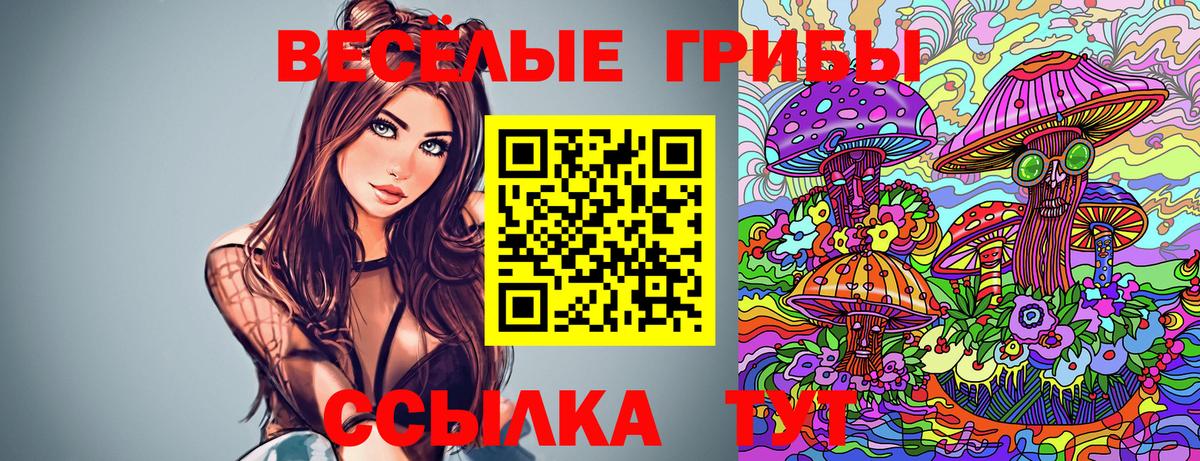 Армавир  Галлюциногенные грибы Magic Shrooms  наркотики  Псилоцибиновые грибы мицелий  Вход с VPN 